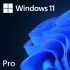 Microsoft Windows 11 Professional